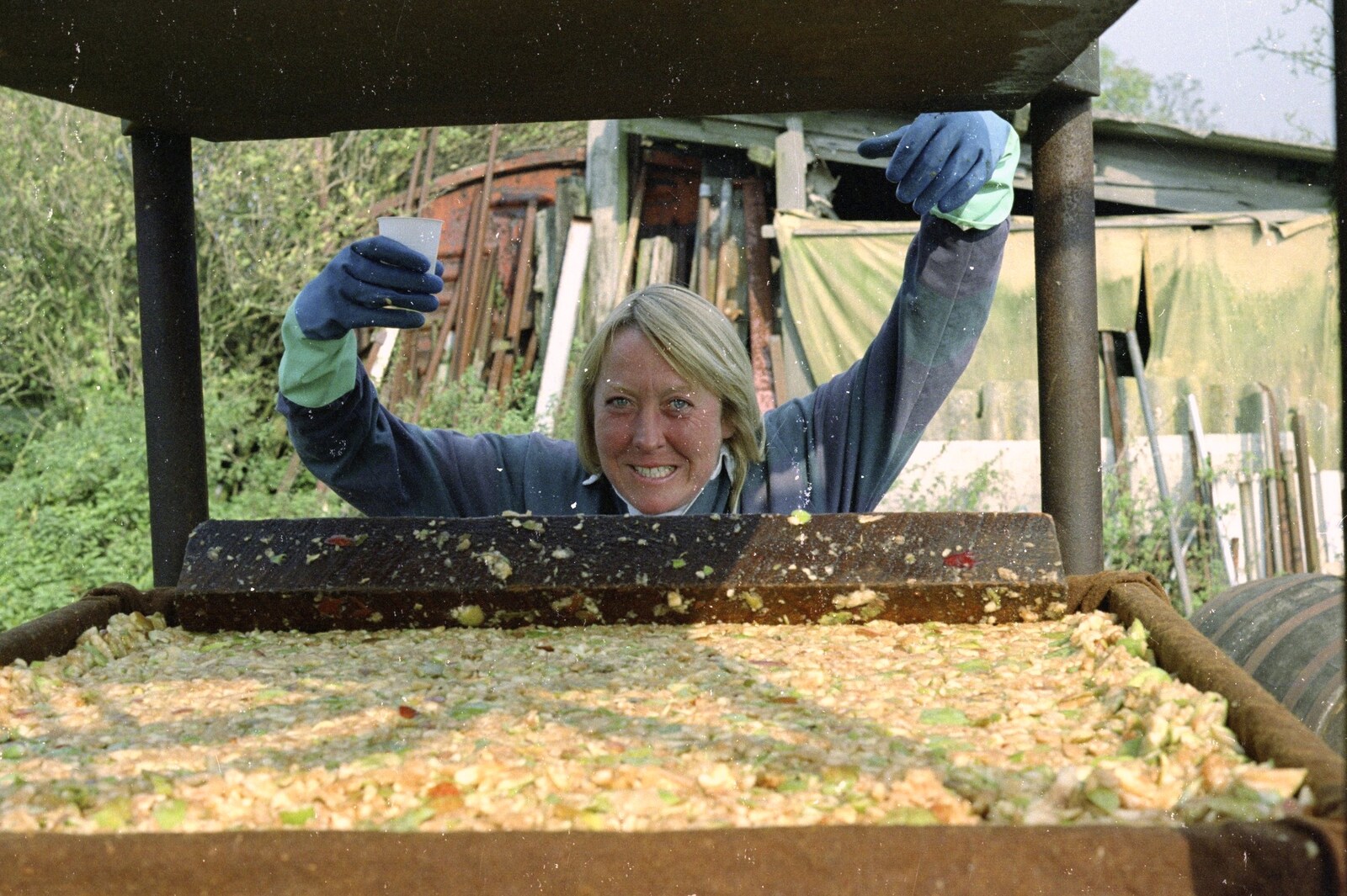 Cider Making (without Rosie), Stuston, Suffolk - 23rd September 1994: Mad Sue in action