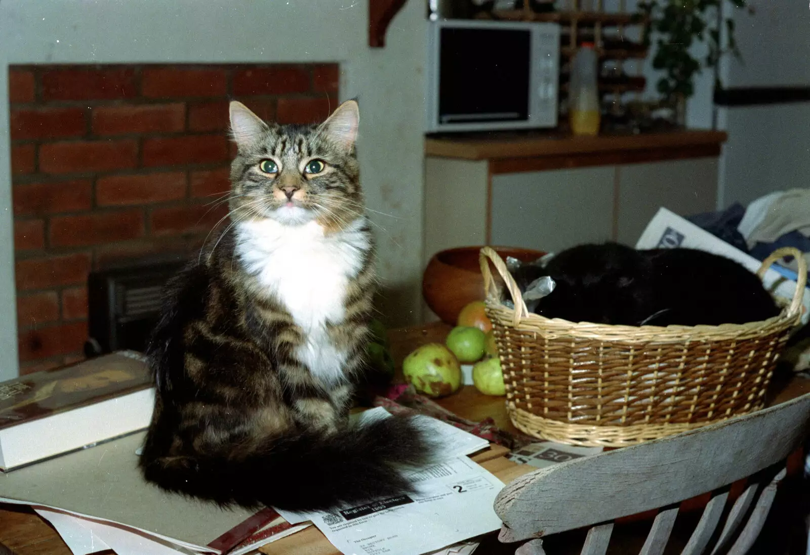 Soph-bags, from Bedroom Demolition, Brome, Suffolk - 10th October 1994