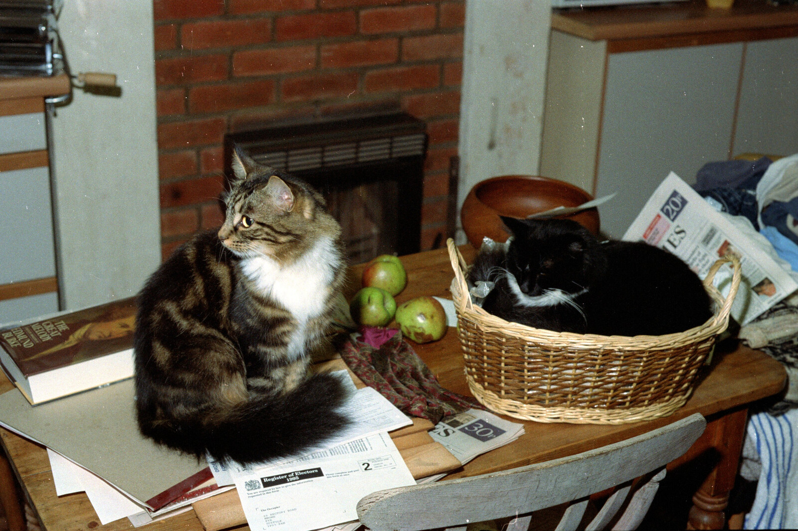 Sophie and The Sock on the kitchen table from Bedroom Demolition, Brome, Suffolk - 10th October 1994