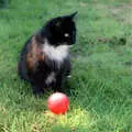 The Sock and a plastic ball, Bedroom Demolition, Brome, Suffolk - 10th October 1994