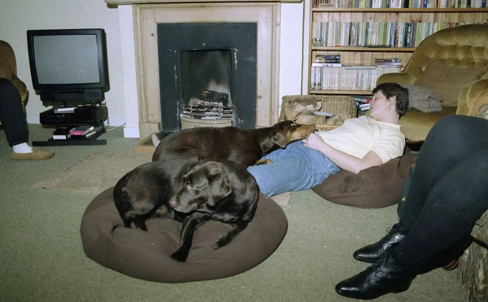 Back in Suffolk, Pippa has a doze, from Christmas Down South, Burton and Walkford, Dorset - 25th December 1994