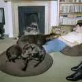 Back in Suffolk, Pippa has a doze, Christmas Down South, Burton and Walkford, Dorset - 25th December 1994