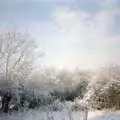 The trees are covered in snow, New Year's Eve at the Swan Inn, Brome, Suffolk - 31st December 1994