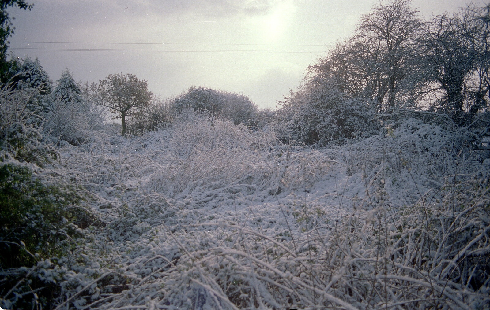 The end of the garden is snowy wilderness from New Year's Eve at the Swan Inn, Brome, Suffolk - 31st December 1994