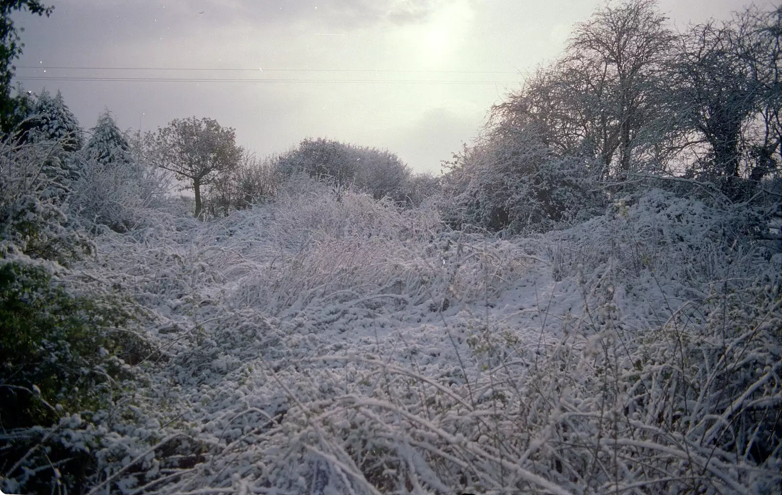 The end of the garden is snowy wilderness, from New Year's Eve at the Swan Inn, Brome, Suffolk - 31st December 1994