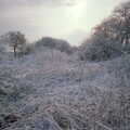 The end of the garden is snowy wilderness, New Year's Eve at the Swan Inn, Brome, Suffolk - 31st December 1994