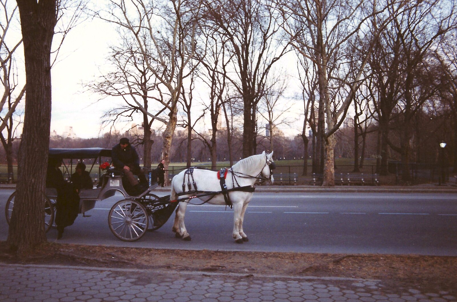 A horse and carriage in Central Park from A Trip to New York, New York, USA - 11th March 1995
