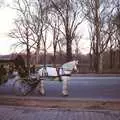 A horse and carriage in Central Park, A Trip to New York, New York, USA - 11th March 1995