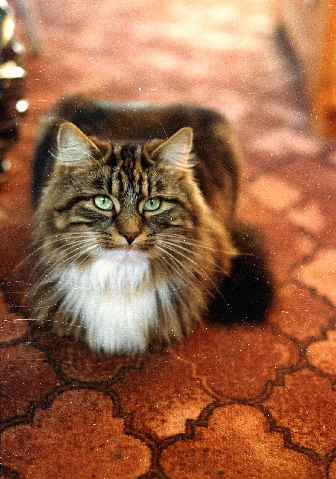 Sophie on the kitchen carpet, from Christmas Up North, Macclesfield, Cheshire - 25th December 1995