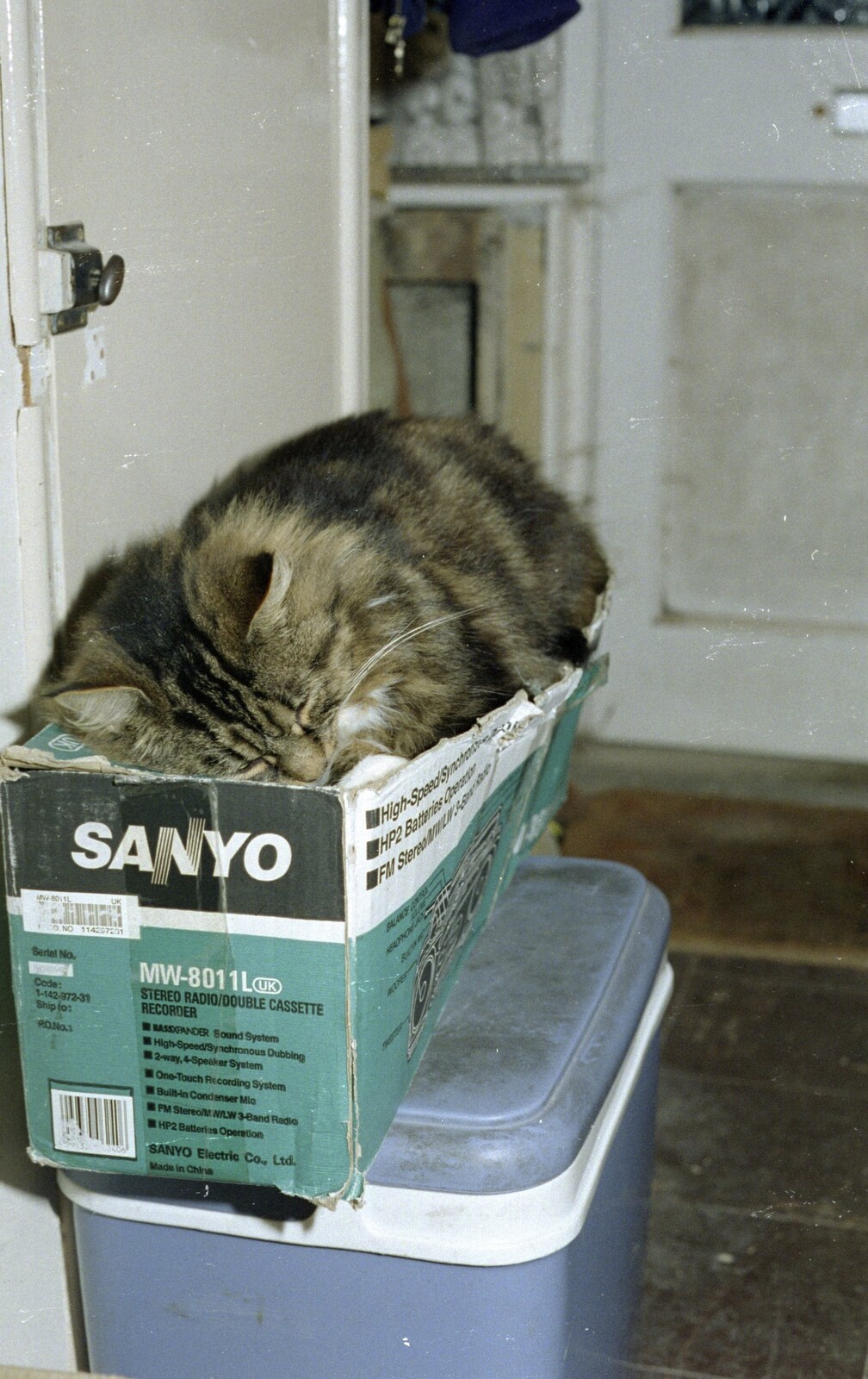 Sophie sleeps on an old box from The CISU Internet Team, Bedroom Building and Ferries, Suffolk - 16th February 1996
