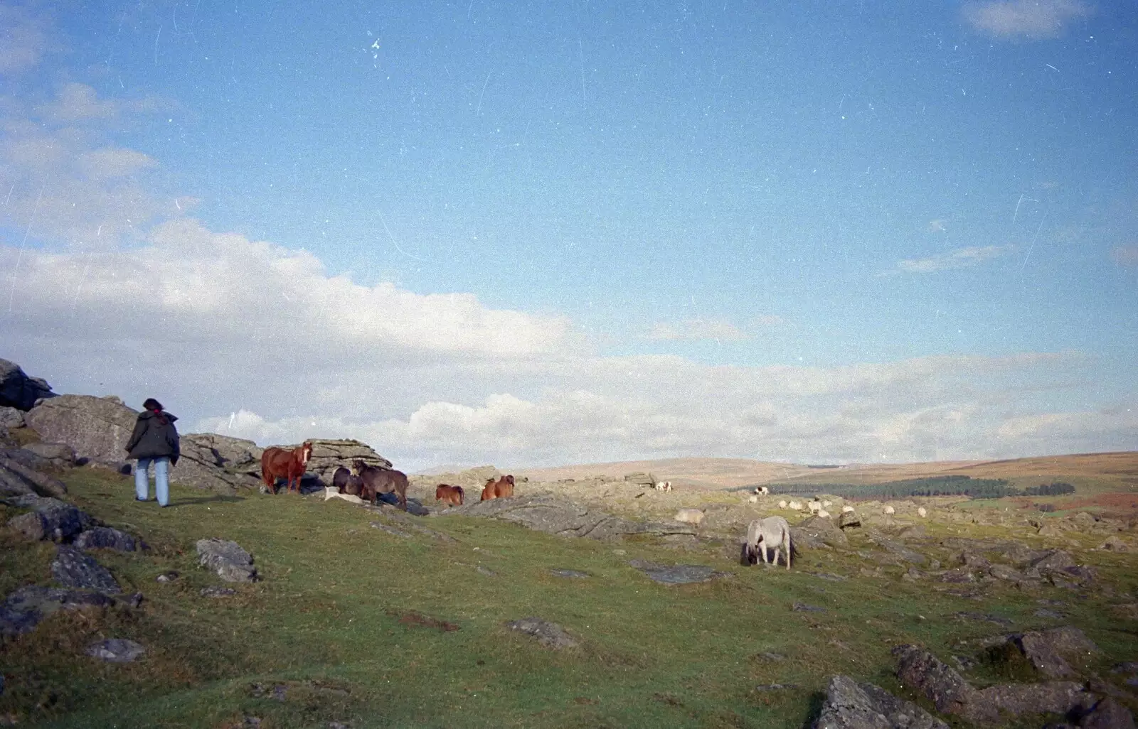 On Burrator, Dartmoor, from Uni: A CISU Trip To Plymouth, Devon - 16th March 1996