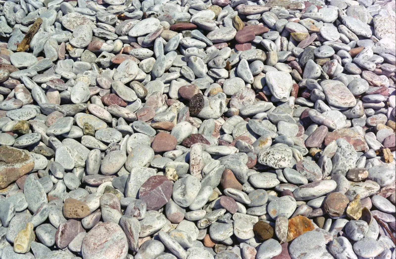 Like pebbles on the beach, from Uni: A CISU Trip To Plymouth, Devon - 16th March 1996