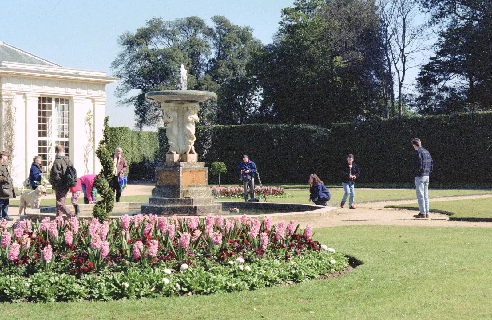 Vicky, Russell and Andrew in the gardens of Edgecumbe , from Uni: A CISU Trip To Plymouth, Devon - 16th March 1996