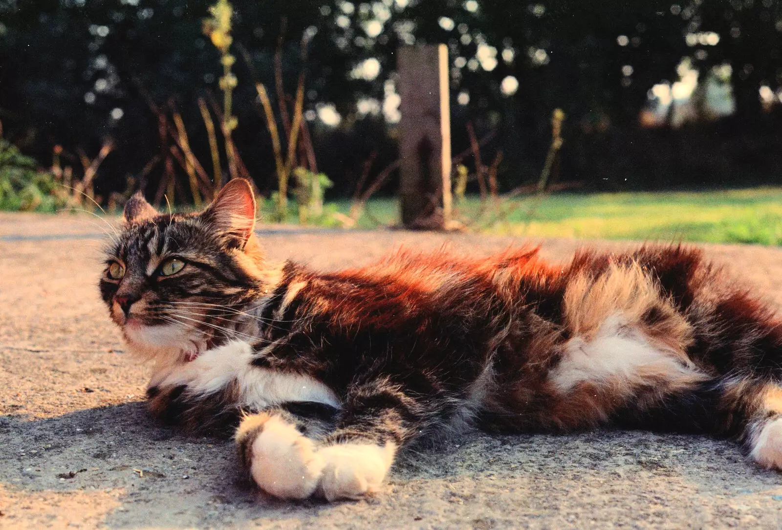 Soph-bags lounges around, from A BSCC Ride to the Six Bells, Gislingham, Suffolk - 21st May 1996