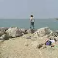 Wavy on the rocks, A Brome Swan Trip to Wimereux, France - 20th June 1996