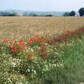 Poppies on the roadside, BSCC at the Beach, Walberswick, Suffolk - 15th July 1997