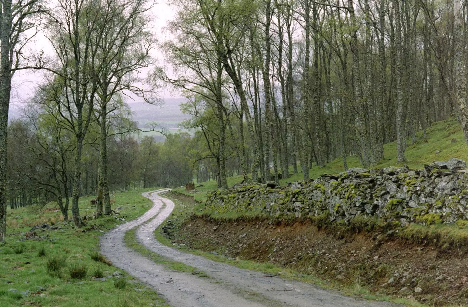 The long road on Nosher's walk to Pitlochry, from A Trip to Pitlochry, Scotland - 24th March 1998