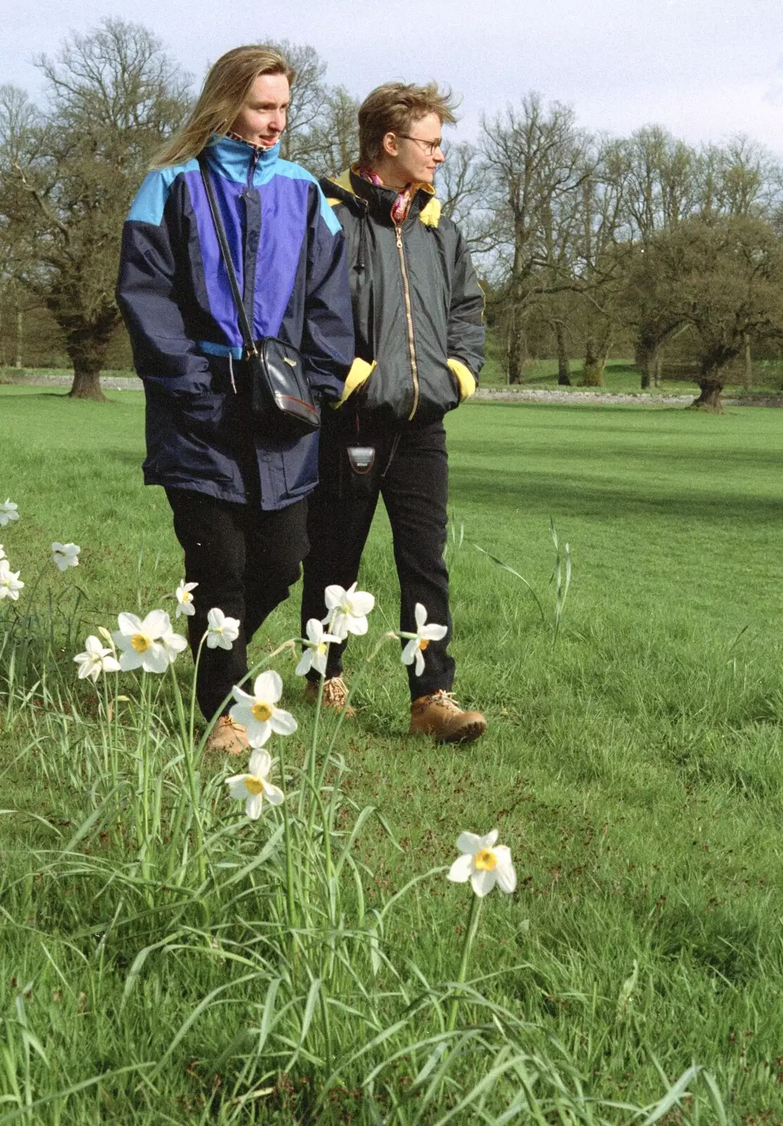 Walking around amongst the daffodils, from A Trip to Pitlochry, Scotland - 24th March 1998