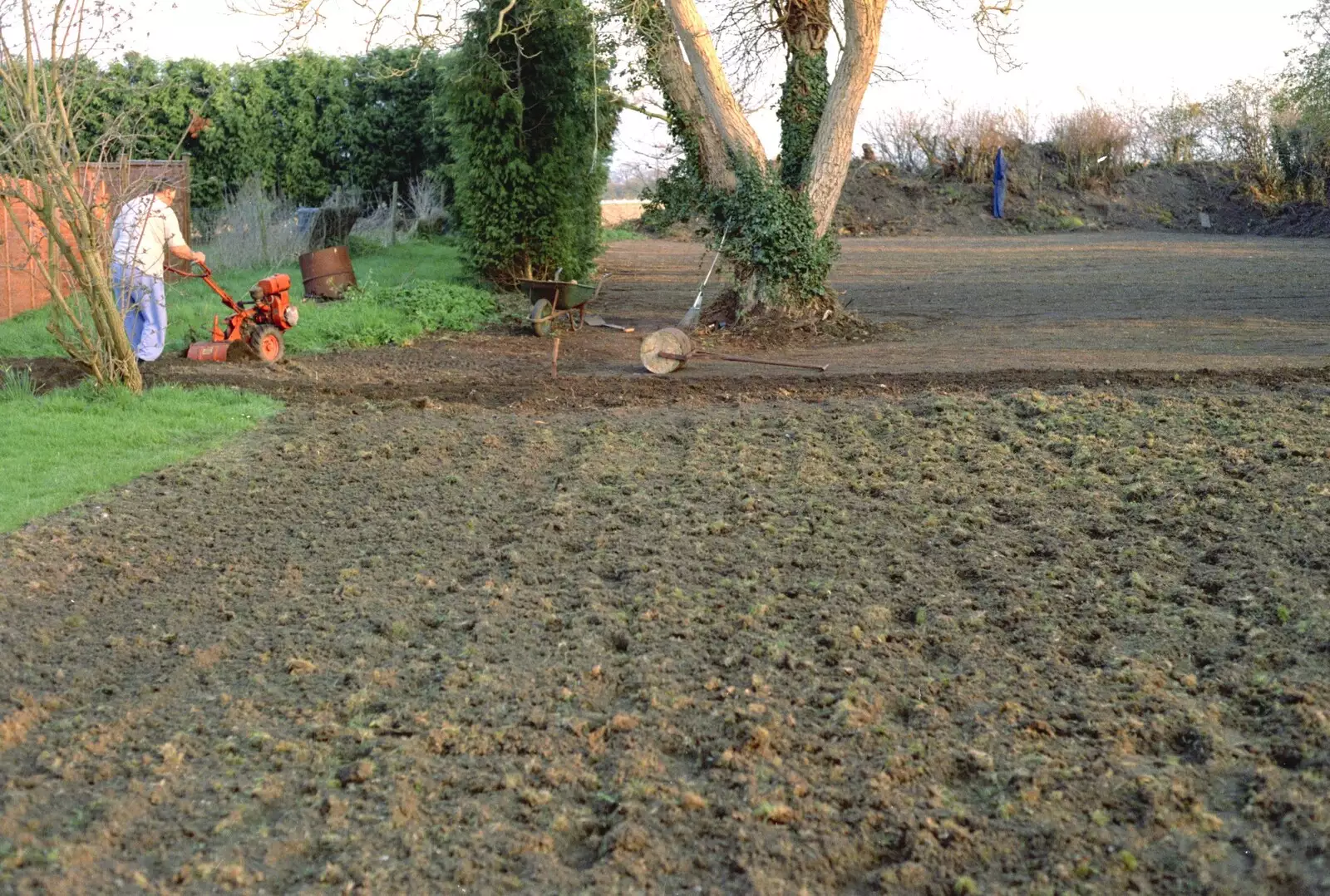 A vast expanse of dug-up lawn, from Garden Rotovator Action, Brome, Suffolk - 28th March 1998