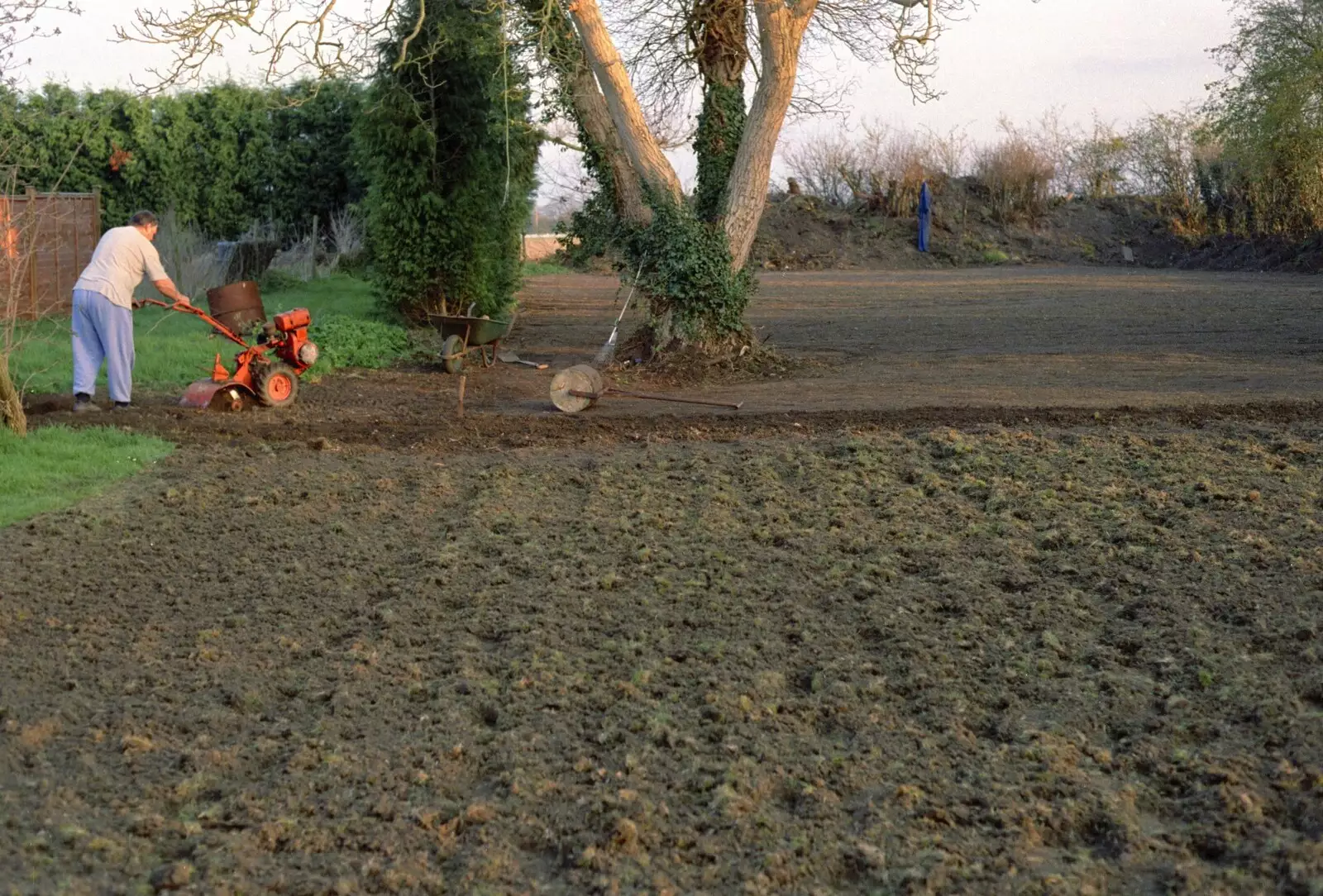 Rotovating the new lawn, from Garden Rotovator Action, Brome, Suffolk - 28th March 1998