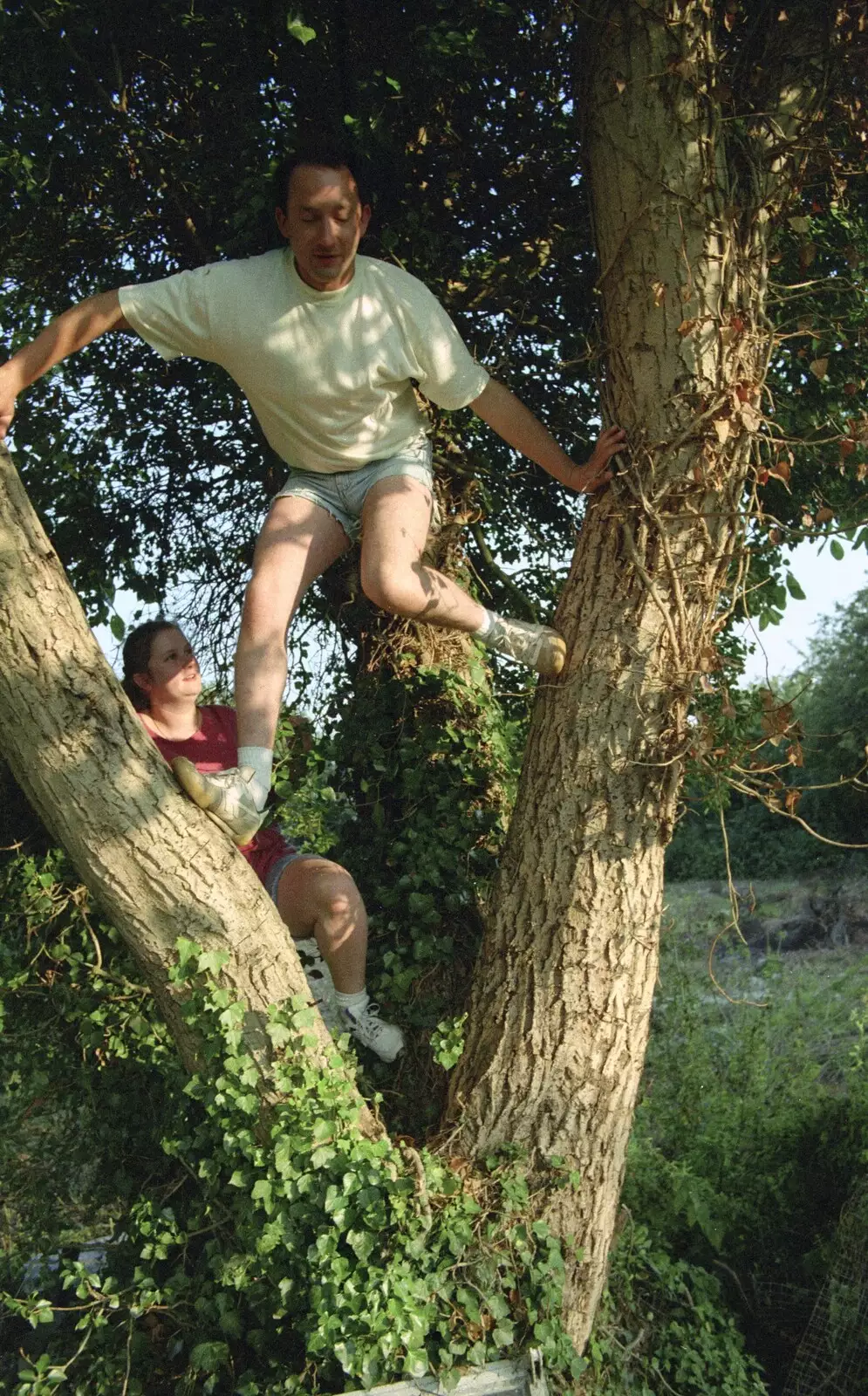 Pauline and DH climb the walnut tree, from Andrew's CISU Party, and Nosher's Garden Barbeque, Ipswich and Brome, Suffolk - June 10th 1998