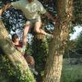 Pauline and DH climb the walnut tree, Andrew's CISU Party, and Nosher's Garden Barbeque, Ipswich and Brome, Suffolk - June 10th 1998