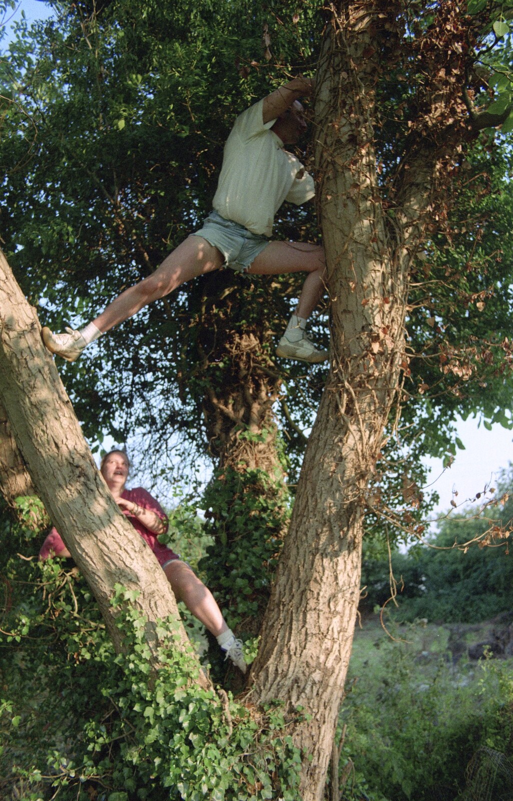 DH gets a bit further up the tree from Andrew's CISU Party, and Nosher's Garden Barbeque, Ipswich and Brome, Suffolk - June 10th 1998
