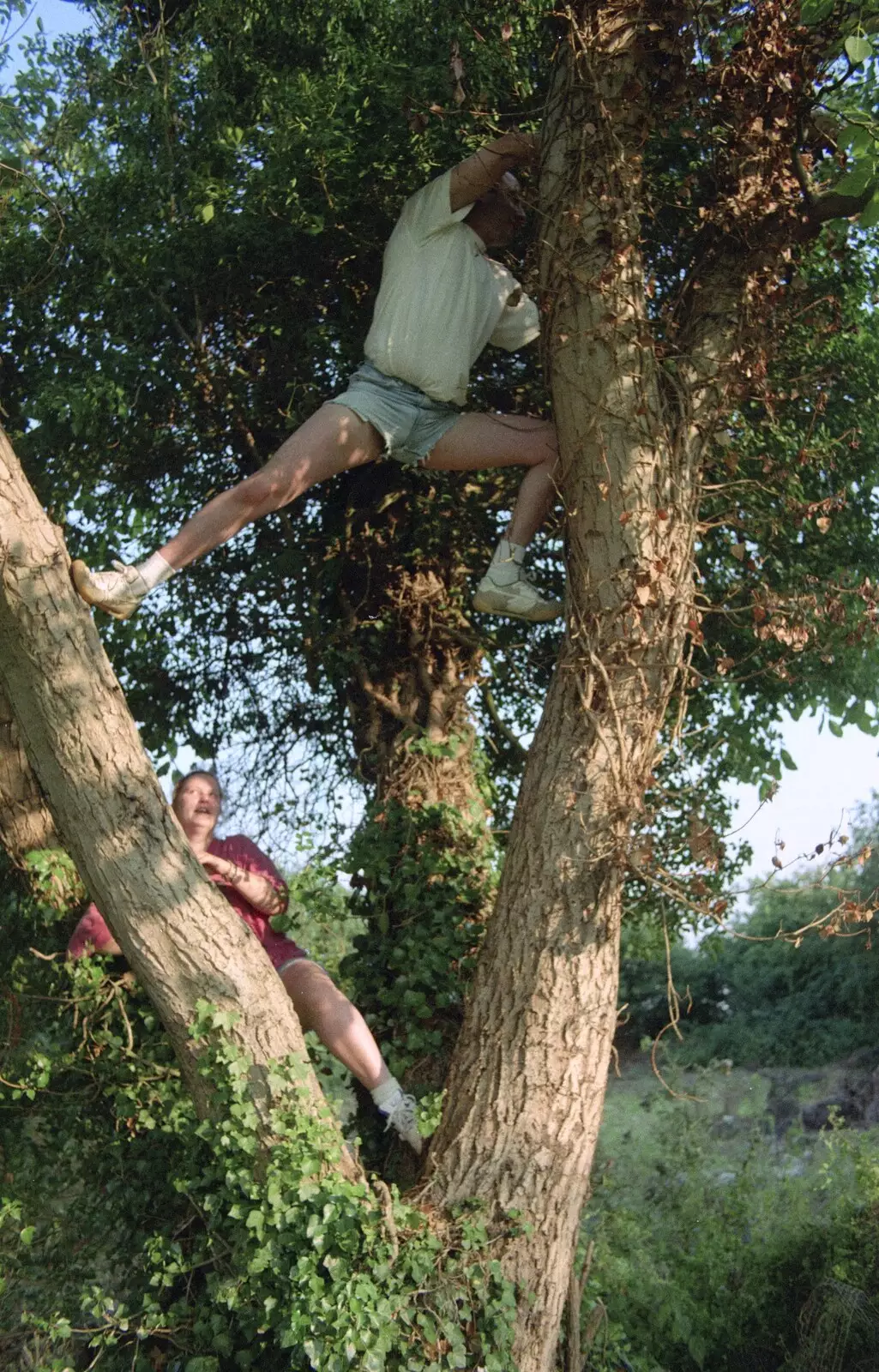 DH gets a bit further up the tree, from Andrew's CISU Party, and Nosher's Garden Barbeque, Ipswich and Brome, Suffolk - June 10th 1998