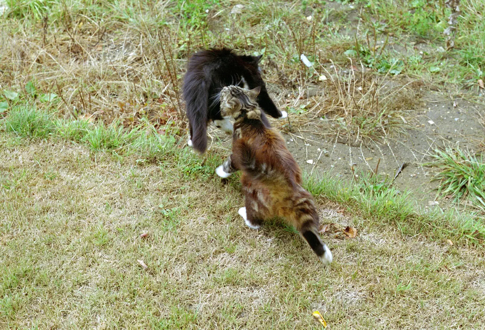 Sophie has a go at The Sock, from Tony and Janet's Building Plot, and the Red Arrows, Eye, Suffolk - 22nd July 1998