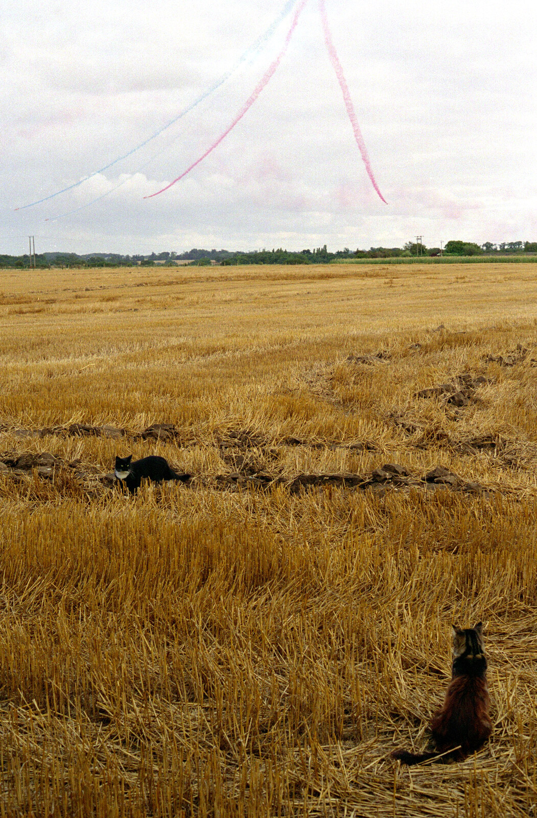 Sophie watches the Red Arrows from Tony and Janet's Building Plot, and the Red Arrows, Eye, Suffolk - 22nd July 1998