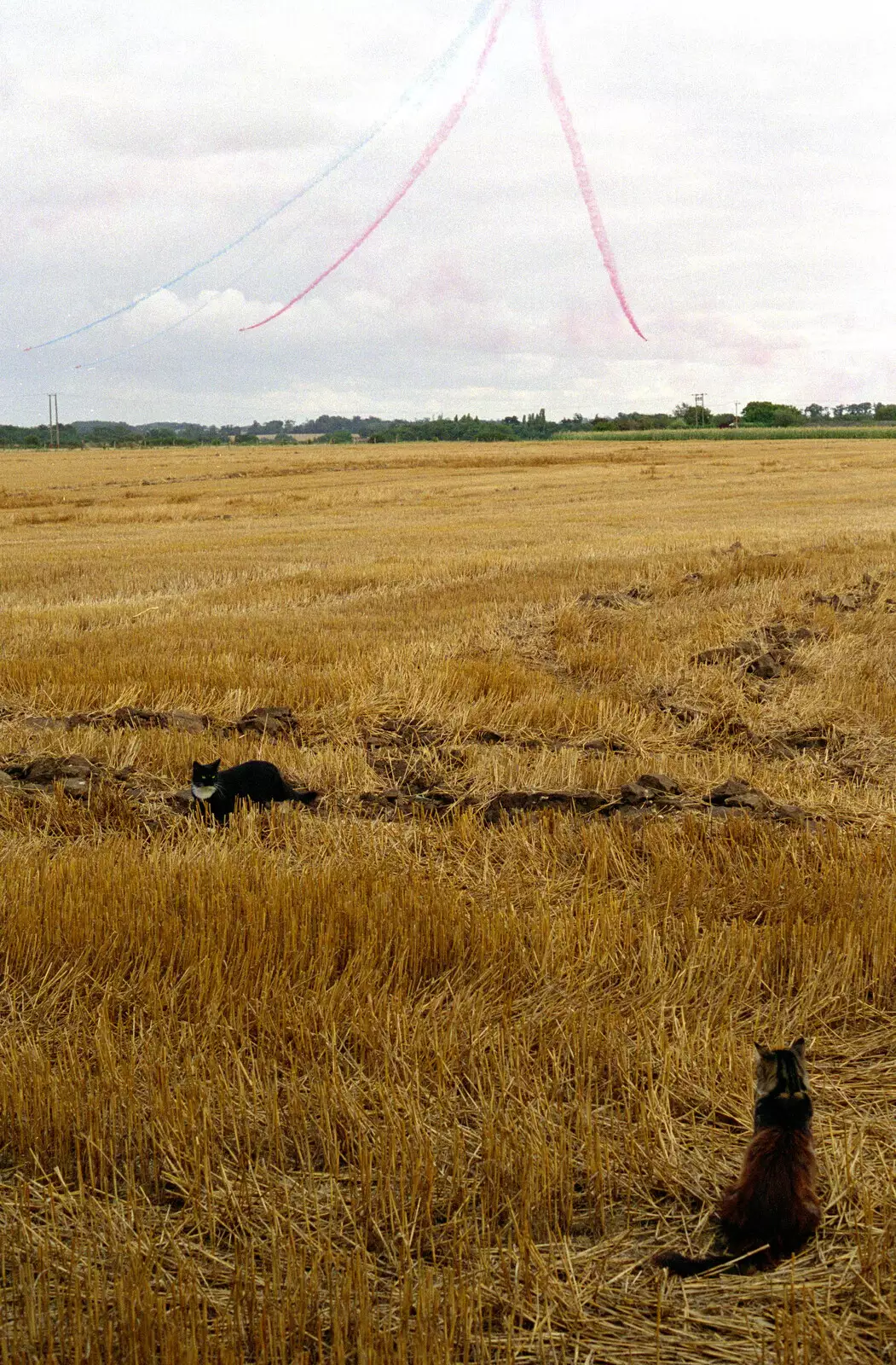 Sophie watches the Red Arrows, from Tony and Janet's Building Plot, and the Red Arrows, Eye, Suffolk - 22nd July 1998