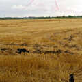 Sophie watches the Red Arrows, Tony and Janet's Building Plot, and the Red Arrows, Eye, Suffolk - 22nd July 1998