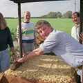 Geoff tamps down chopped apples, Cider Making With Geoff and Brenda, Stuston, Suffolk - 10th September 1998