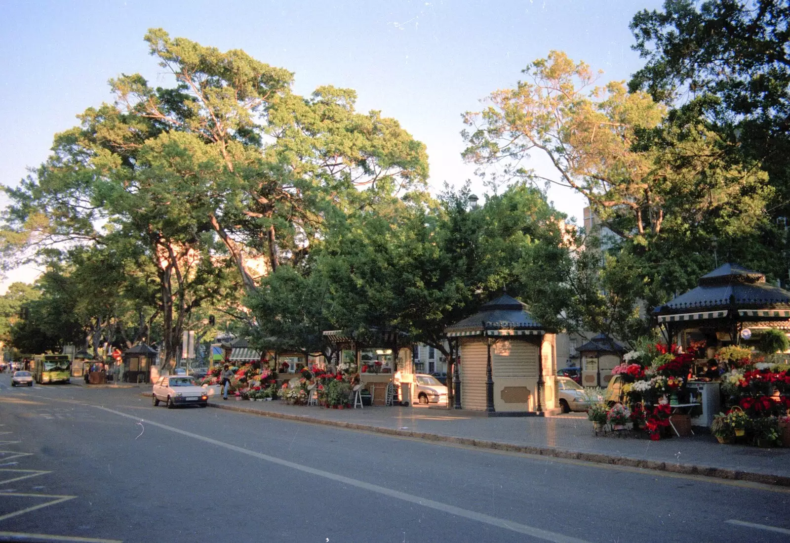 Málaga flower markets, from The CISU Massive do Malaga, Spain - November 14th 1998