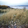 A Finnish lake scene, A Trip to Rovaniemi and the Arctic Circle, Lapland, Finland - 28th November 1999