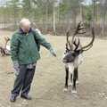 The Old Man points at a reindeer, A Trip to Rovaniemi and the Arctic Circle, Lapland, Finland - 28th November 1999