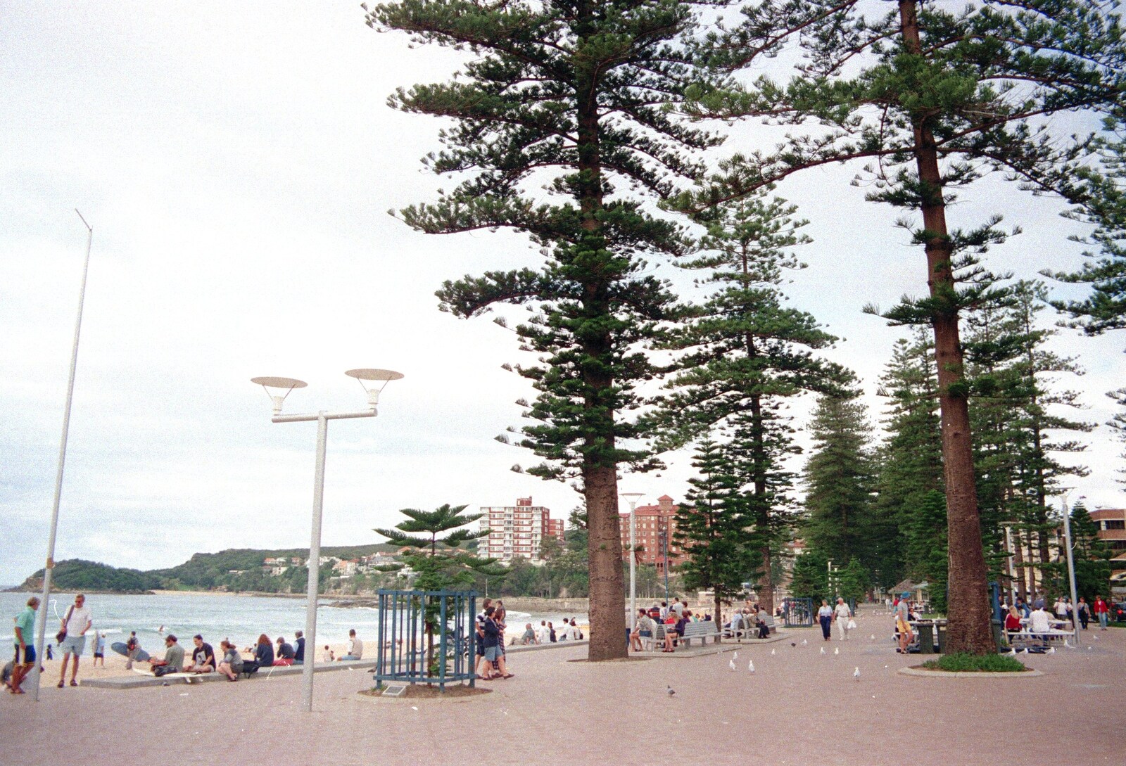 Manly seafront from A Trip to the Zoo, Sydney, Australia - 7th April 2000