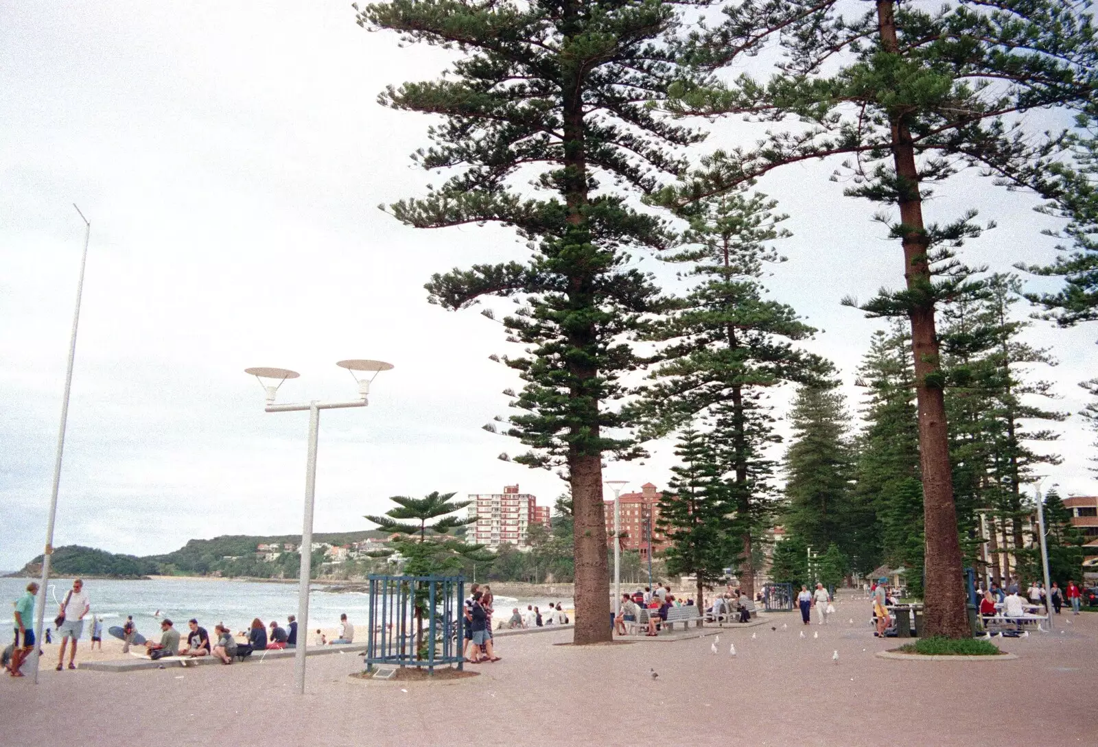 Manly seafront, from A Trip to the Zoo, Sydney, Australia - 7th April 2000