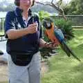 A blue Macaw, A Trip to the Zoo, Sydney, Australia - 7th April 2000