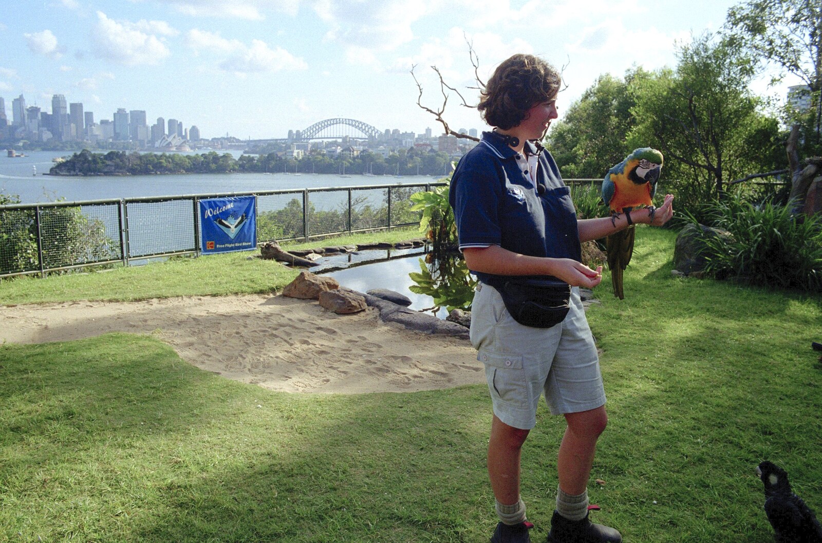 The Macaw, and Sydney harbour from A Trip to the Zoo, Sydney, Australia - 7th April 2000