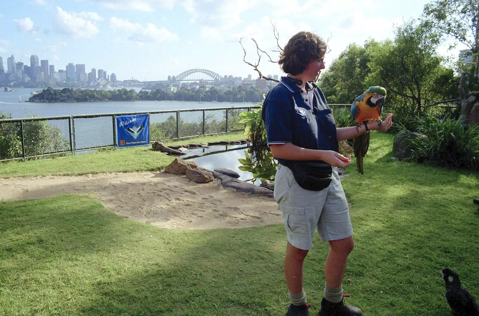 The Macaw, and Sydney harbour, from A Trip to the Zoo, Sydney, Australia - 7th April 2000