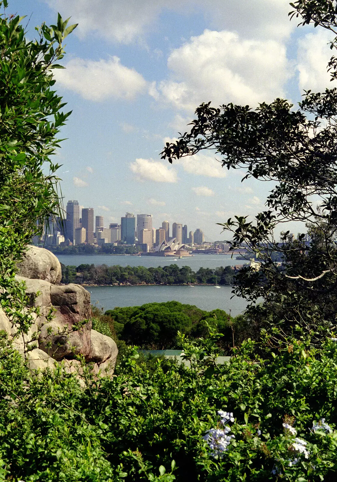 A tree-framed view of the city, from A Trip to the Zoo, Sydney, Australia - 7th April 2000