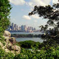 A tree-framed view of the city, A Trip to the Zoo, Sydney, Australia - 7th April 2000