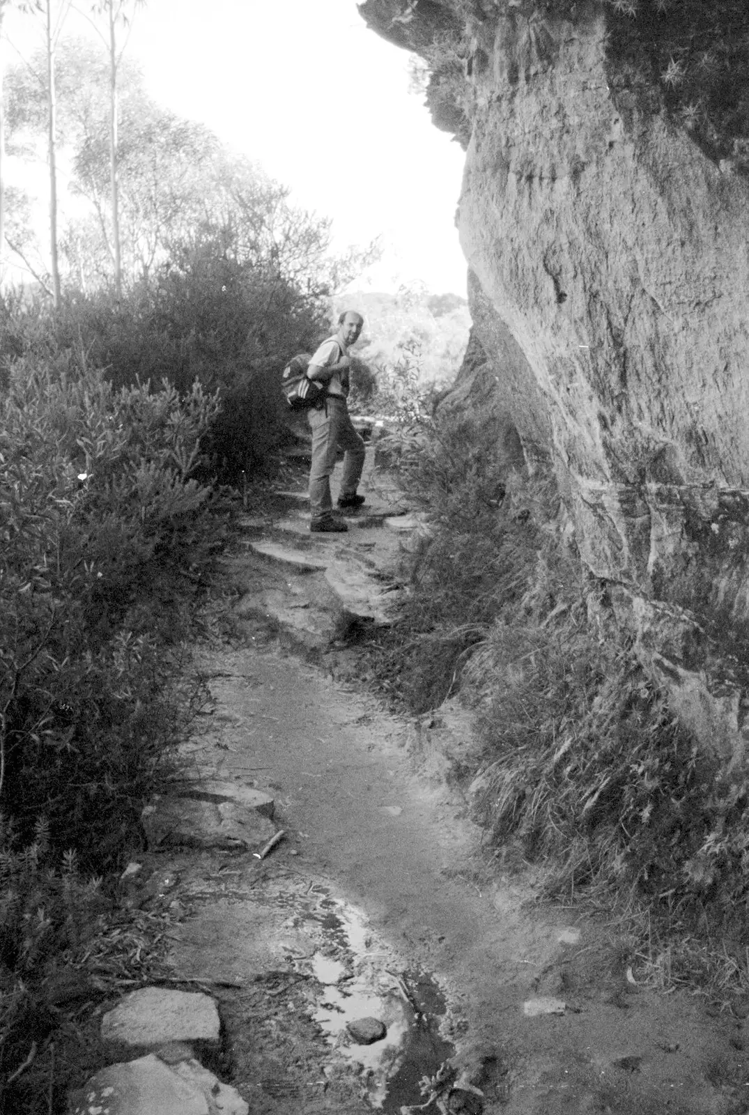 Dave looks back, from A Trip to the Blue Mountains, New South Wales, Australia - 12th April 2000