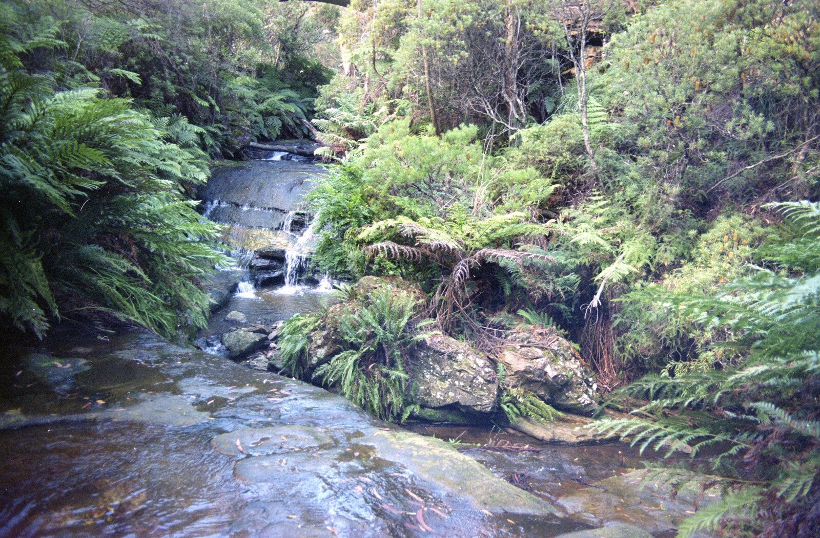 A river in the Botanical Garden from Sydney Triathlon, Sydney, Australia - 16th April 2000