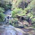 A river in the Botanical Garden, Sydney Triathlon, Sydney, Australia - 16th April 2000
