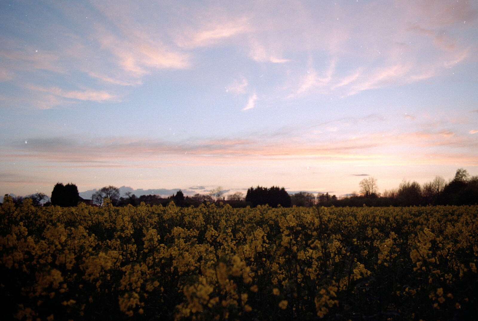 A sunset and a field of Oilseed in flower from A Postcard From Hofburg Palace, Vienna, Austria - 18th April 2000