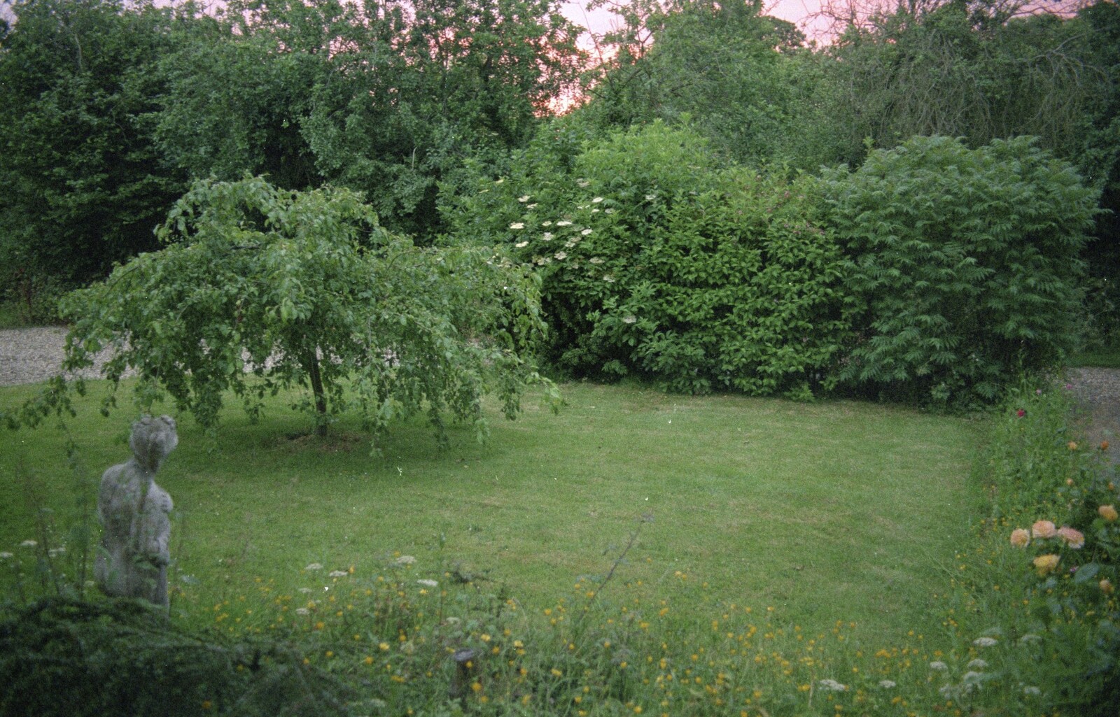 Nosher's Last Day at CISU/SCC, Suffolk County Council, Ipswich - 22nd June 2000: Nosher's front garden