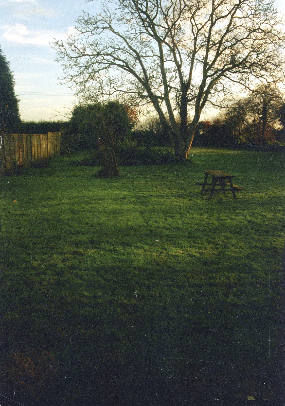 The back garden with its newish lawn from Paula's 3G Lab Wedding Reception, Huntingdon, Cambridgeshire - 4th September 2000