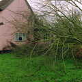 Another view of the tree, A Fallen Tree at The Swan, Brome, Suffolk - January 21st 2001